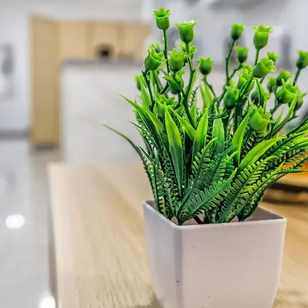 Apartament Sol