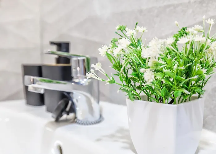 Sol * Кордова